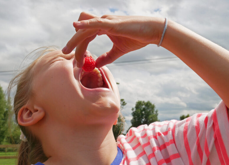 A customer tasting a raspberry
