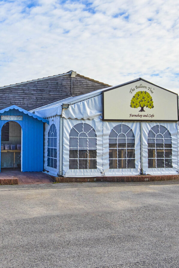 The outside entrance to The Balloon Tree Farmshop. A white marquee with a large Balloon Tree on the front.