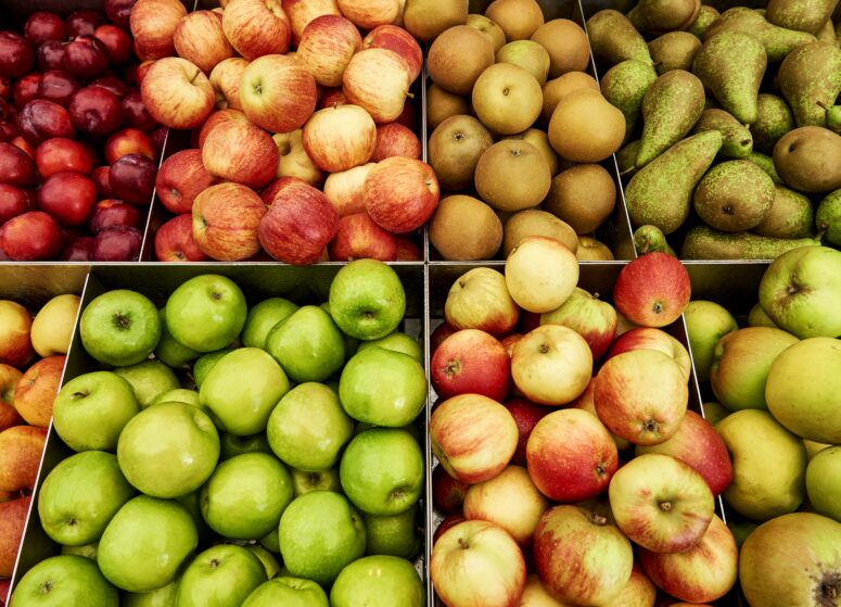 An overhead shot of different varieties of apples and pears